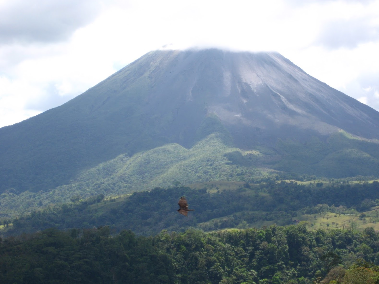 The view was amazing! As I stared at this stunning active volcano, I saw a beautiful eagle flying around and decided to do a few close-ups and this was the clearest. What beauty.