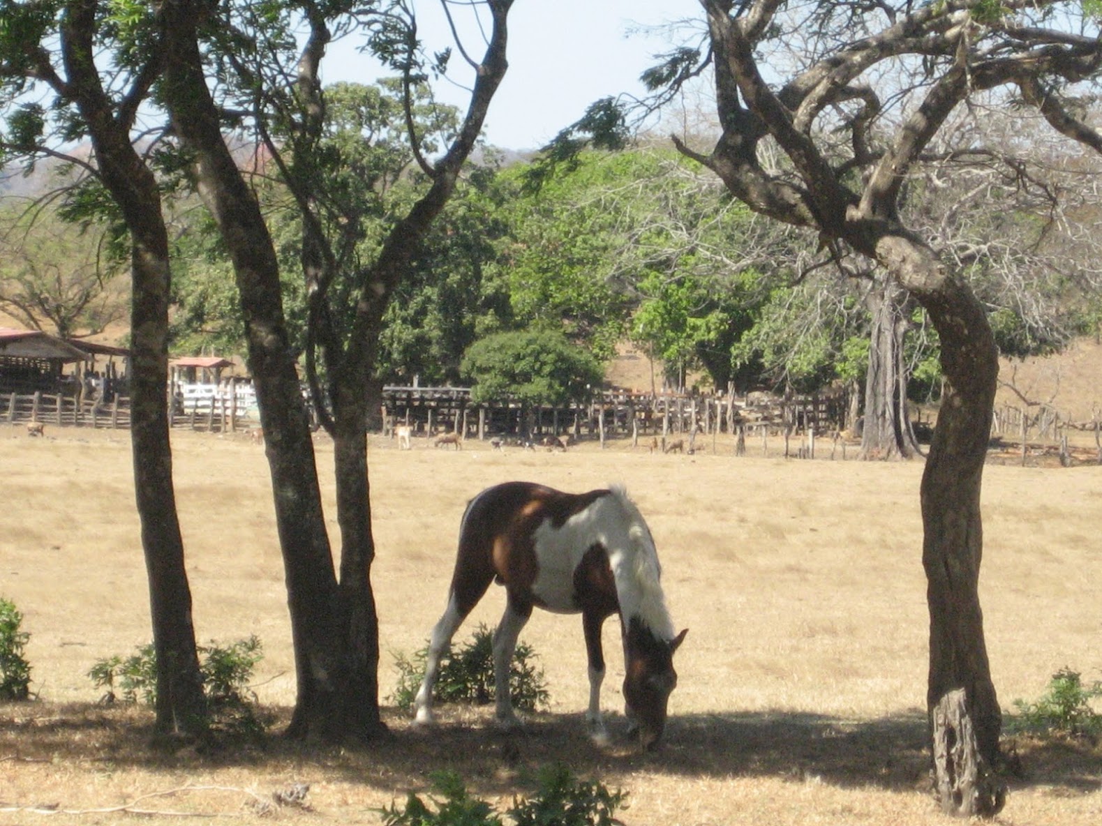 costa rica_gt-watwpIMG_9108