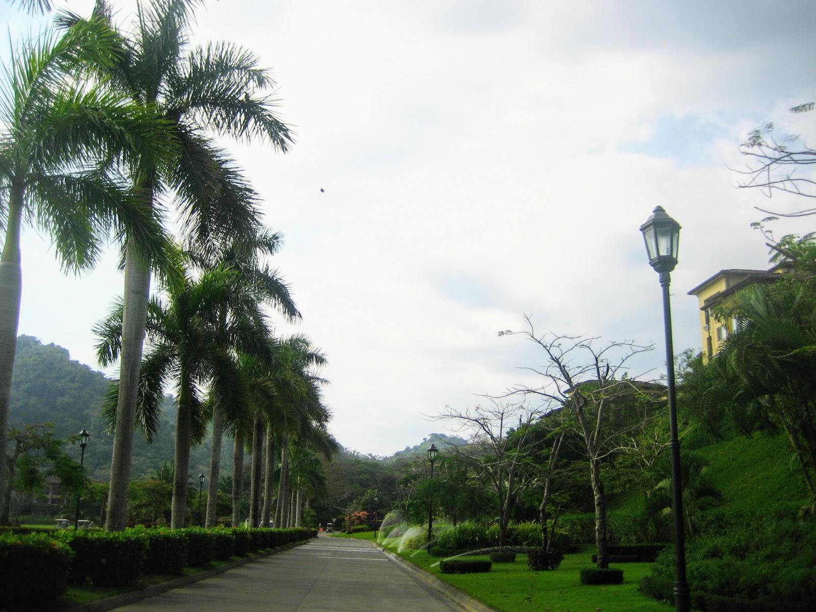 Driveway to hotel's main entrance