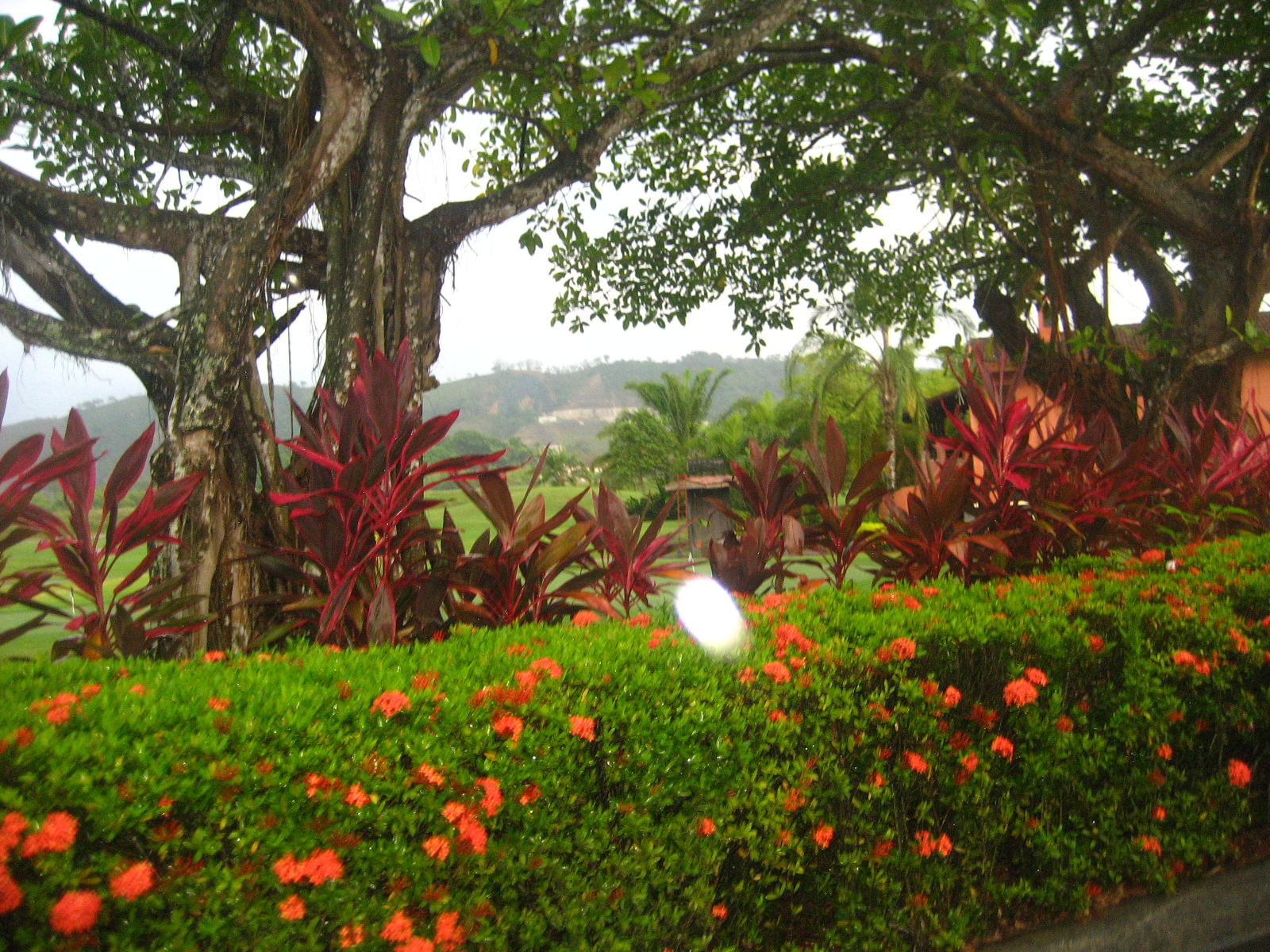 Costa Rica Los Suenos Marriott Giselle Trujillo WATWPIMG_0037