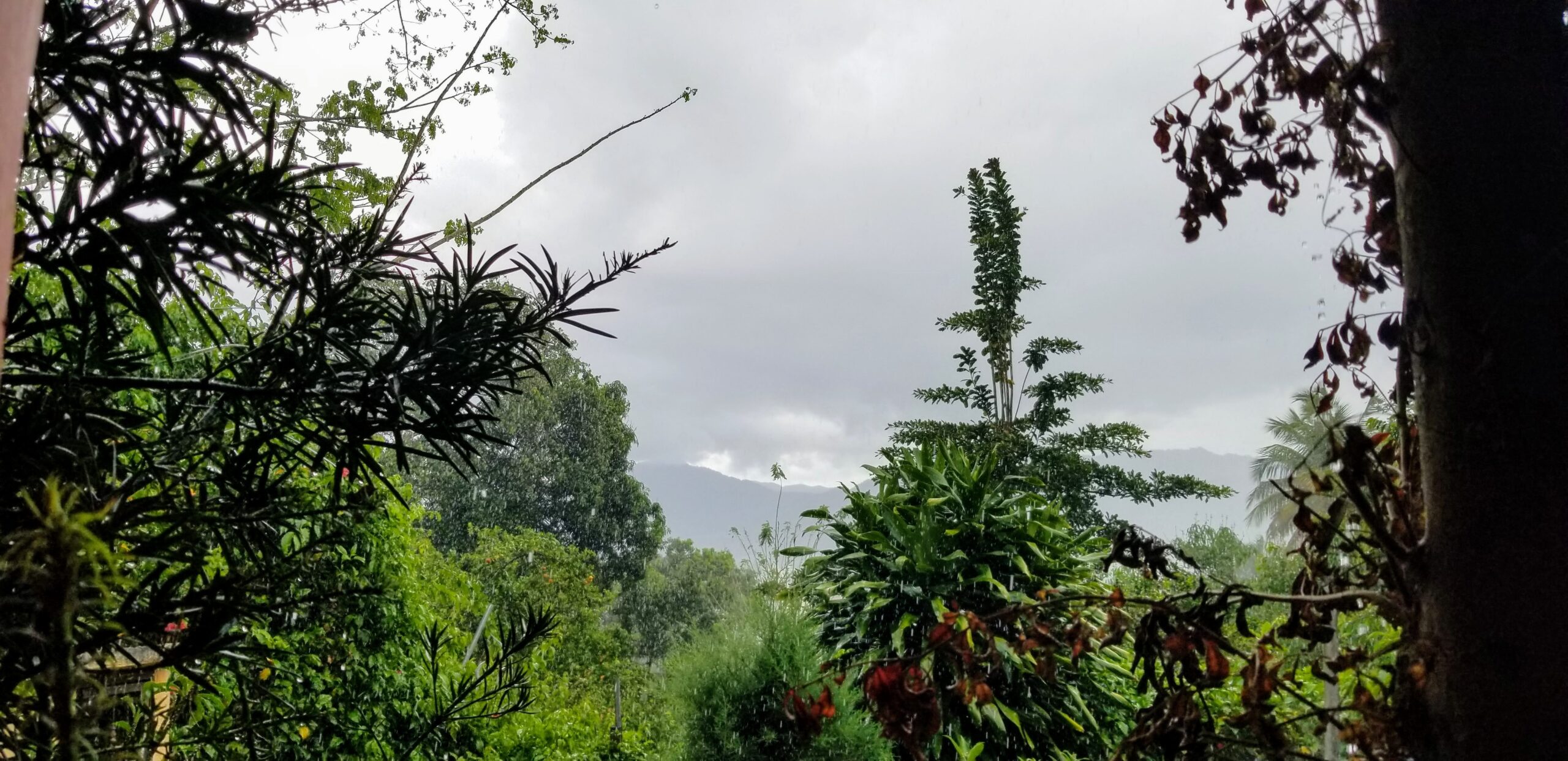 Besides being home to some of the most proudest locals you will ever meet, Jarabacoa is a favorite region amongst Dominicans. If you met a native to Jarabacoa, you will know it, they love and praise Jarabacoa like it is the Shangri-La of the world. The local pride is real! I know first hand, I live with one. Jarabacoa is located in the center of the country in La Vega Province of Dominican Republic, known for its lush green, mountainous terrain and pine trees.  A favorite destination for Dominicans who can afford to have a second home.  Jarabacoa is a well organized town.    Jarabacoa's tag line is "DONDE SIEMPRE ES PRIMAVERA!" meaning "WHERE IT'S ALWAYS SPRING!".   If you ask a local anything about Jarabacoa, they are sure to mention their tagline.  From my very personal experience the locals are extremely patriotic to the fullest, very proud of their town.    It's a fairly big town, keep in mind the mountains, hills, curves and small valleys.  The climate in Jarabacoa is of cooler, fresh temperatures, hot days are extremely hot as expected, but mostly comfortable cooler temperatures.    Getting to Jarabacoa directly, the best airport will be the Santiago airport, about 45 minutes away.