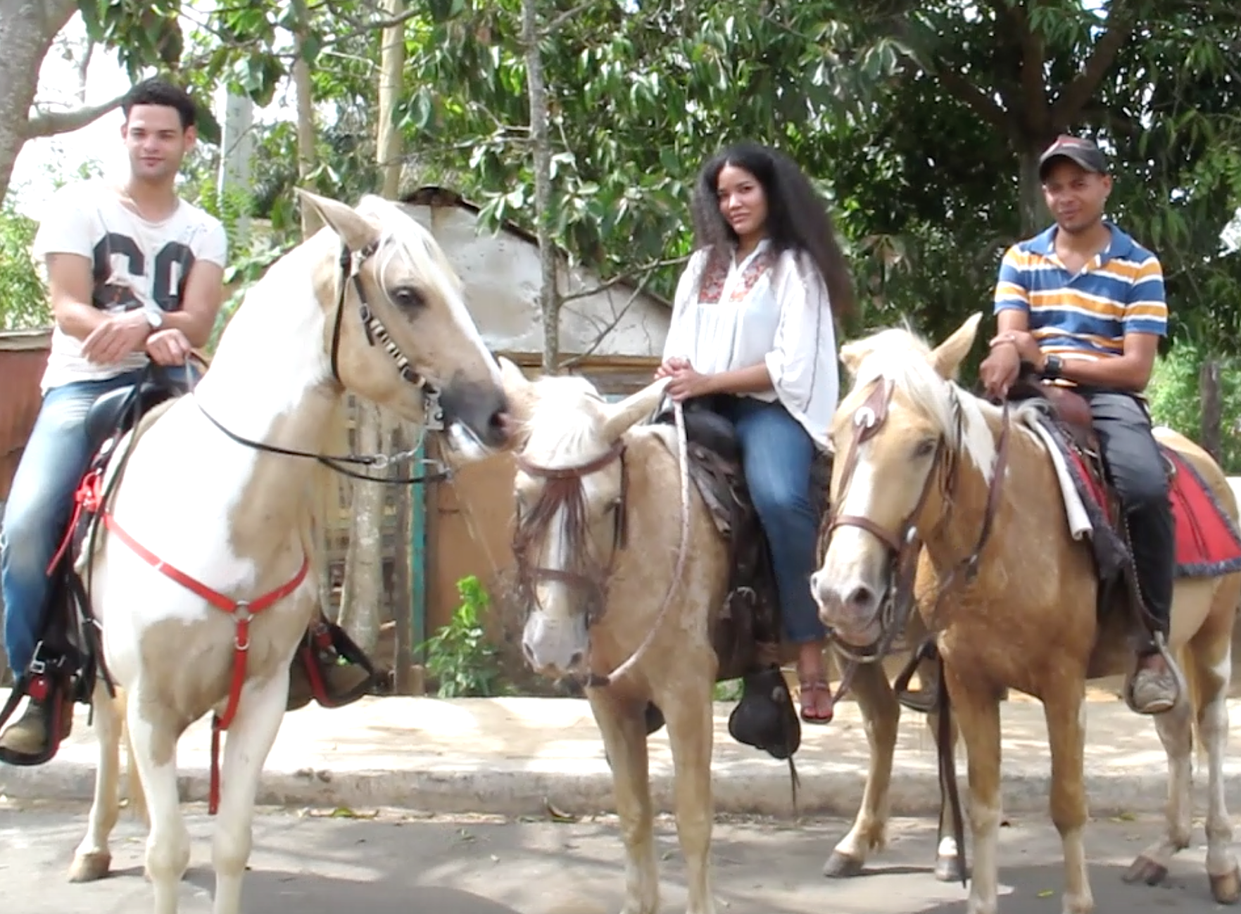 HORSE RIDING