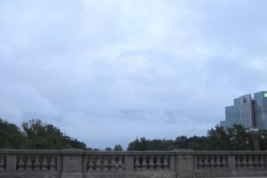 IMG_4325