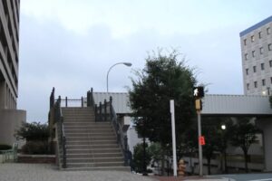 IMG_4344